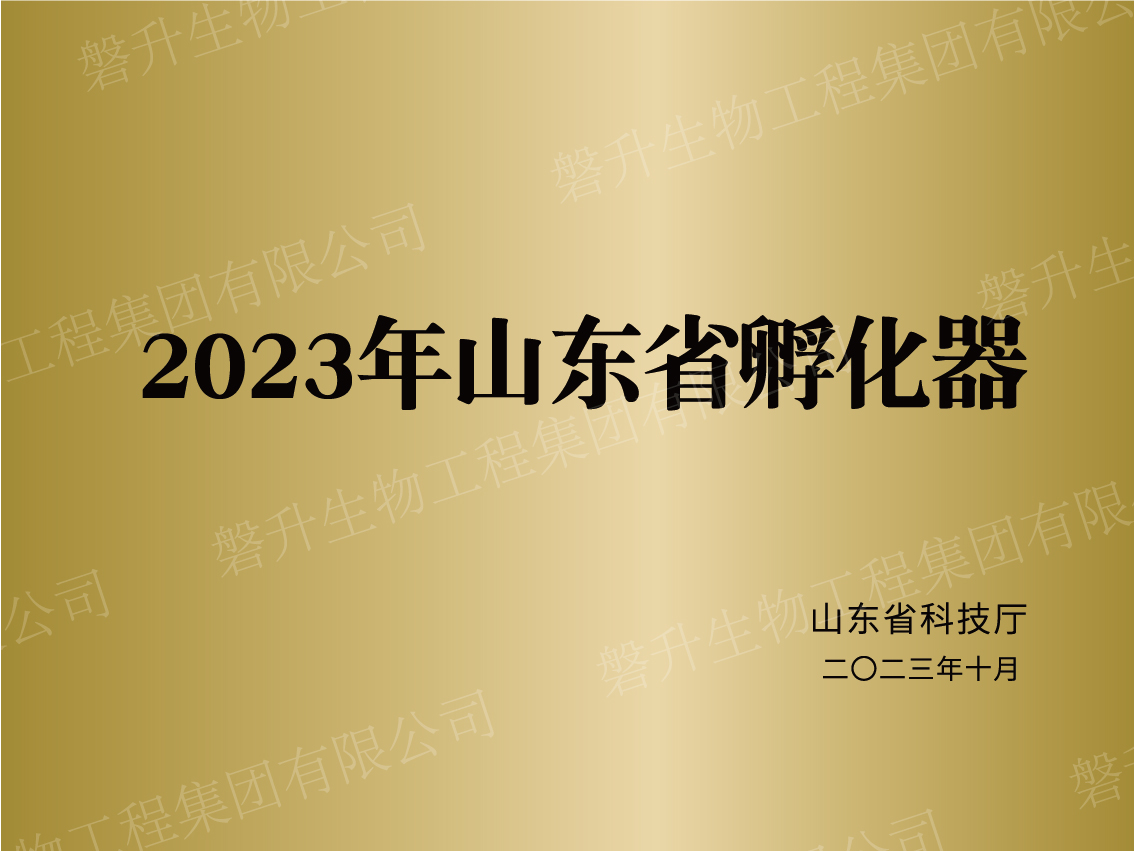 2023年山东省孵化器