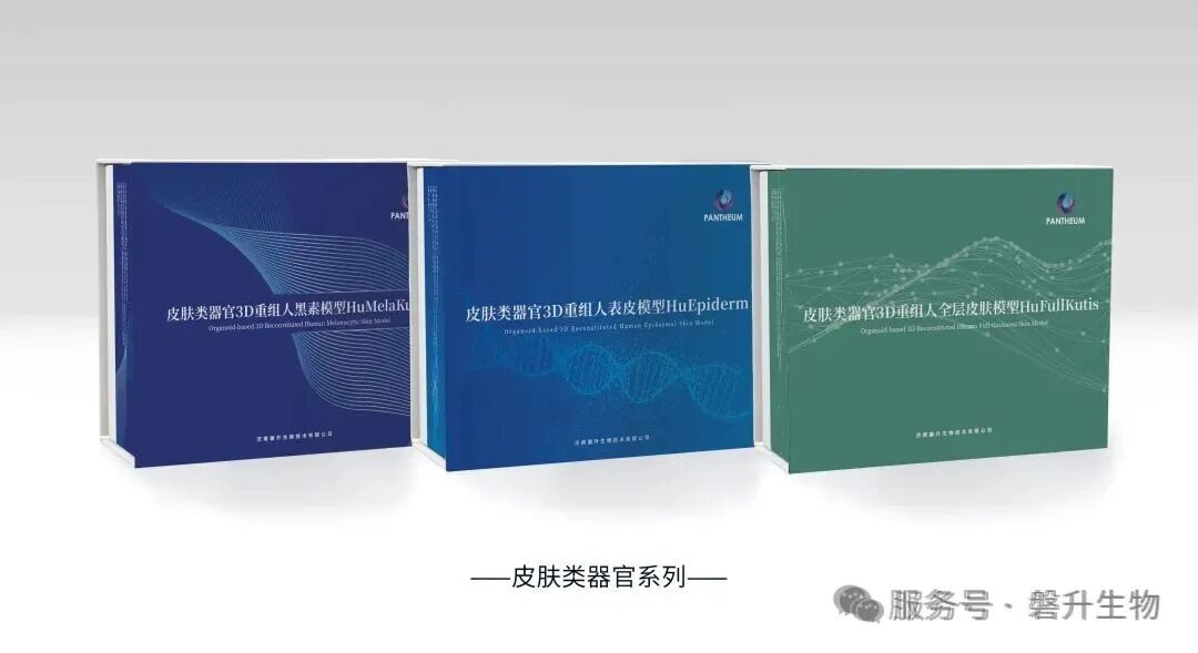 十五五规划定调！类器官与器官芯片首入国家五年规划，构筑生物医药创新底座