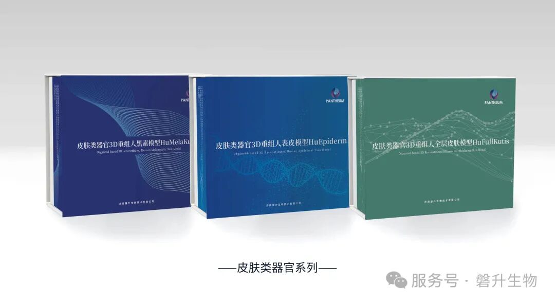 打破动物实验依赖!类器官技术迎来政策东风,磐升生物多款模型领跑行业