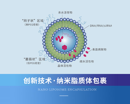 纳米脂质体包裹
