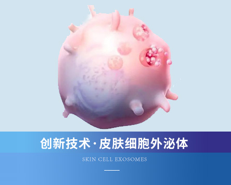 皮肤细胞外泌体