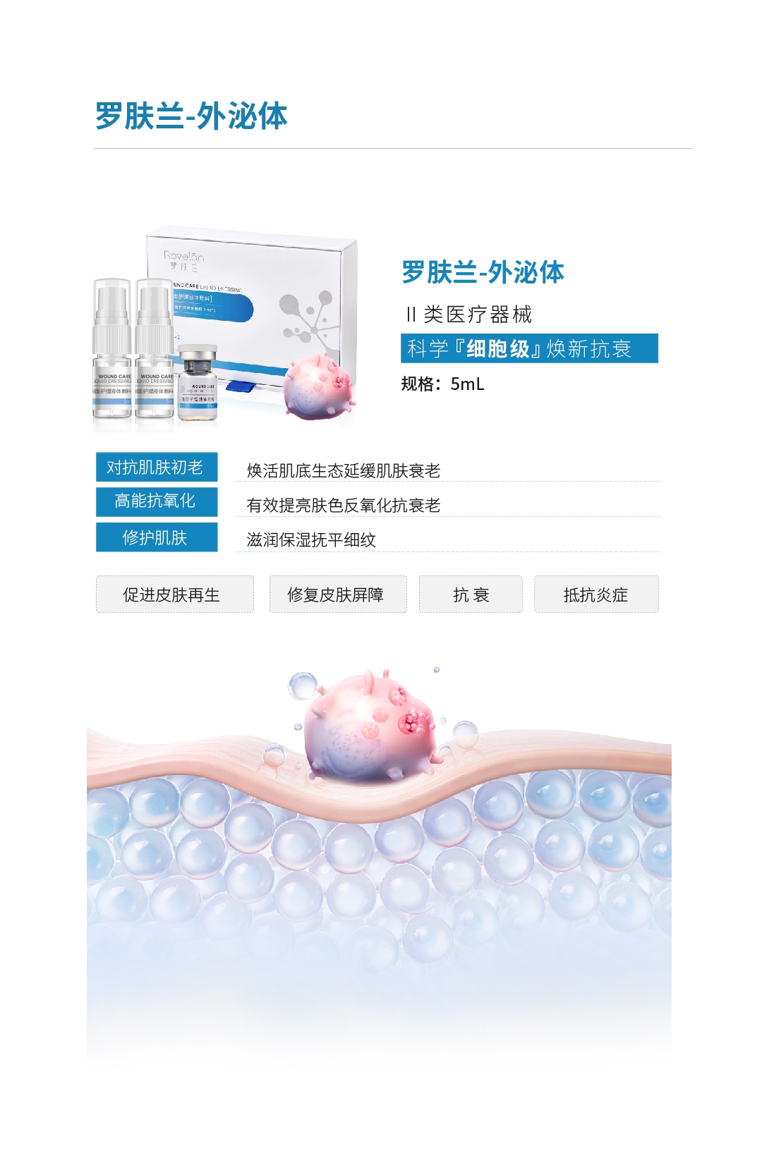 皮肤细胞外泌体2.jpg